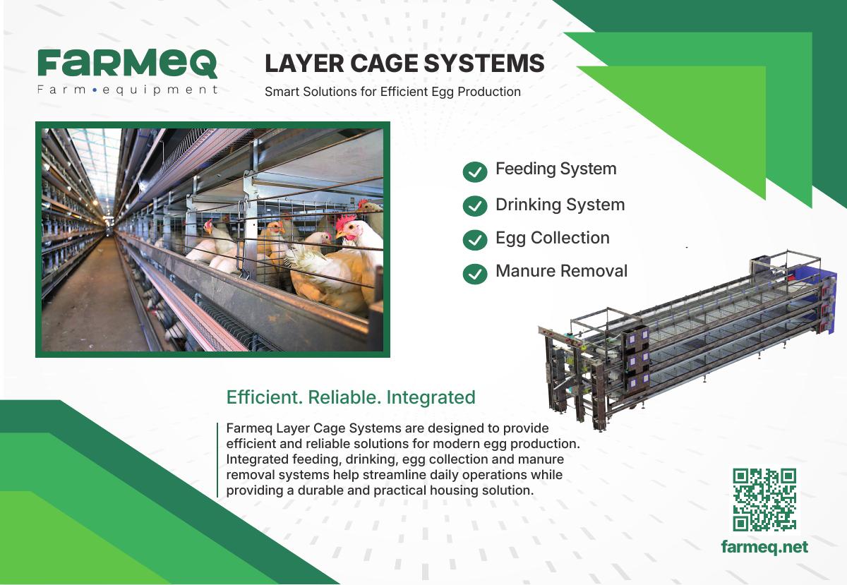 Layer cage systems
