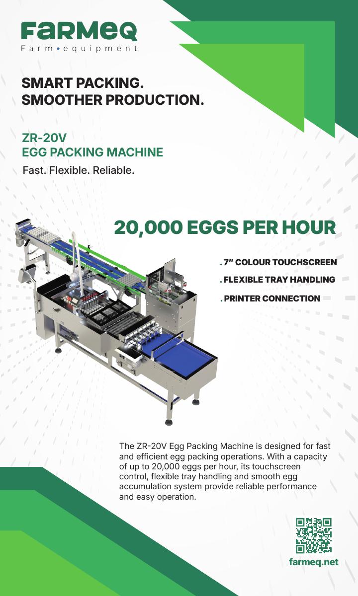 ZR-20V Egg Packing Machine